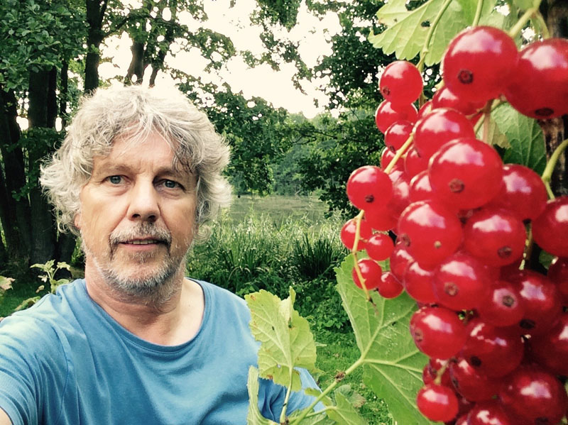 Beerenernte-am-See