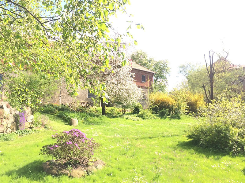 Fruehlingsausbruch