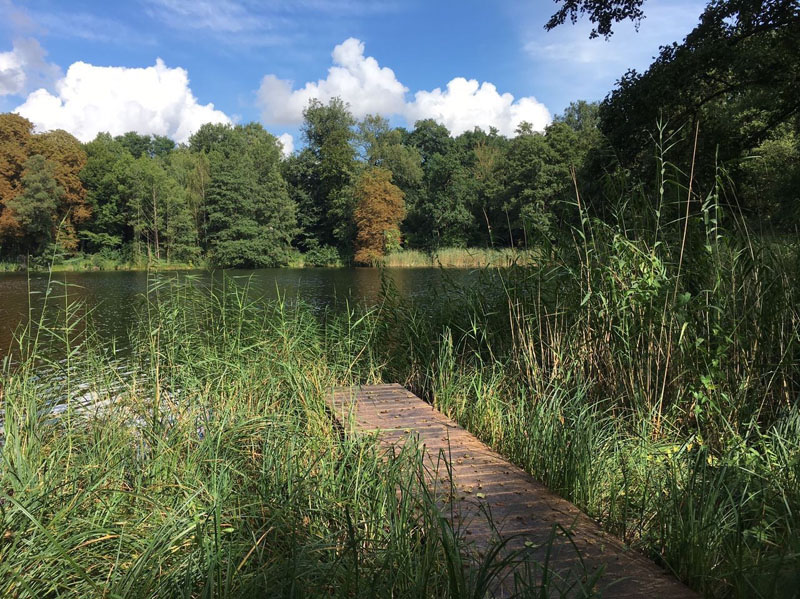 Steg-am-See