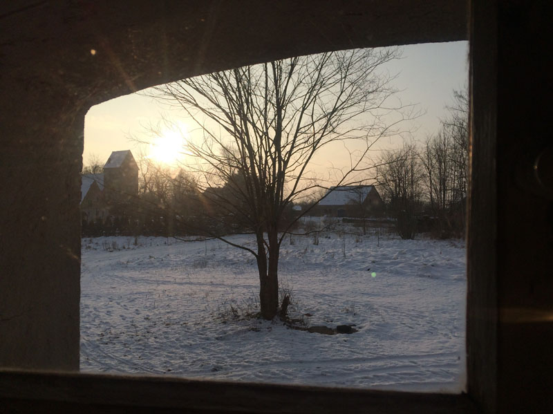 Winterausblick
